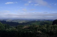 Teixeiras