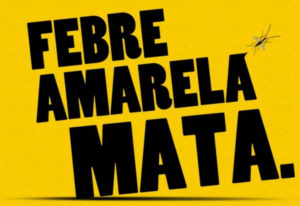 ATUALIZAÇÃO SOBRE A FEBRE AMARELA EM TEIXEIRAS